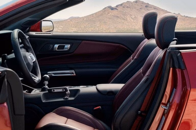 2025 Ford 2024 Mustang® GT Premium Convertible - Image 8