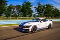 2025 Ford Mustang® Dark Horse™ R Race Car - Image 2