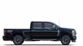2025 Ford 2024 Super Duty® F-250® Platinum 6.8-litre V8 Regular Cab 4x2/4x4 - Image 5