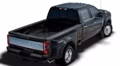 2025 Ford 2024 Super Duty® F-450® Platinum 6.8-litre V8 Crew Cab 4x2/4x4 - Image 2