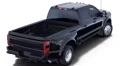 2025 Ford 2025 Super Duty® F-450® Platinum® 7.3L 2V DEVCT NA PFI V8 Gas Regular Cab 4x2/4x4 - Image 3